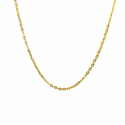 Noel Rolo Gold Chain Necklace